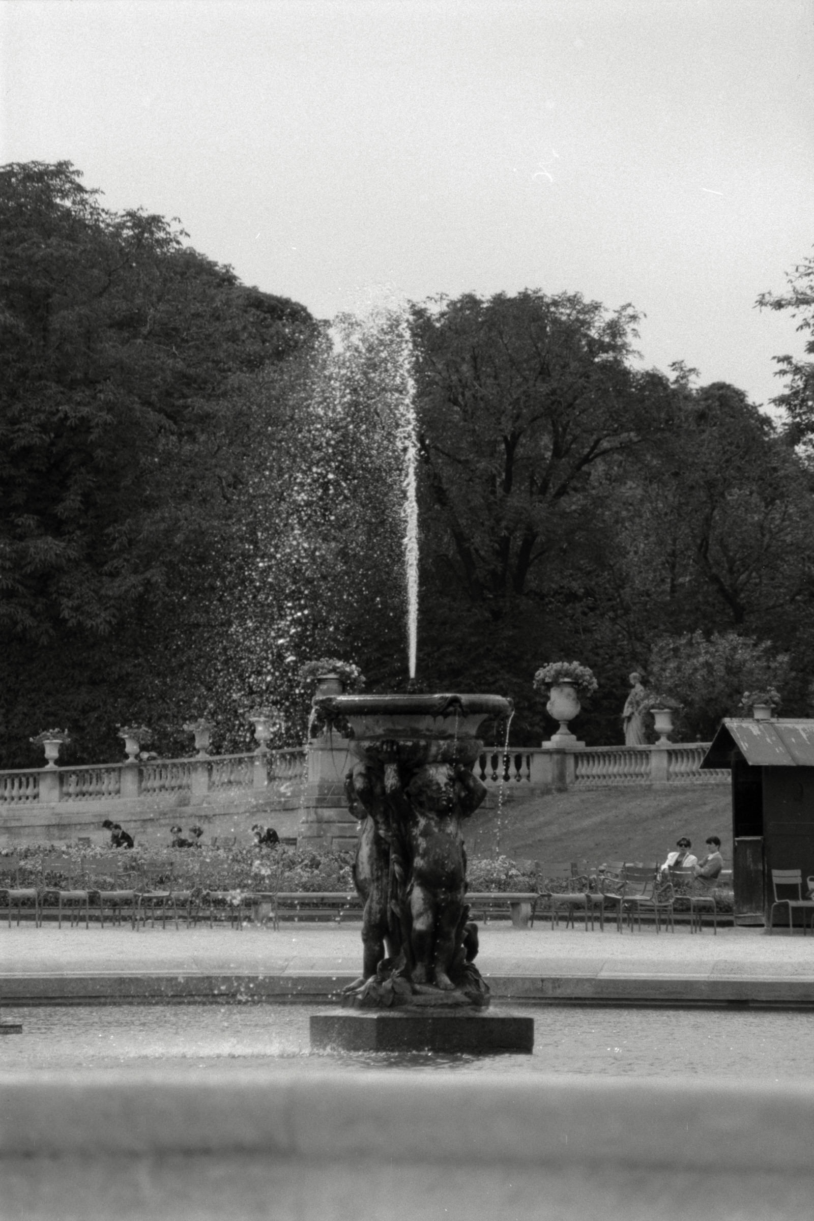 AHP F1990 09 003 sc250506 img15 NLP